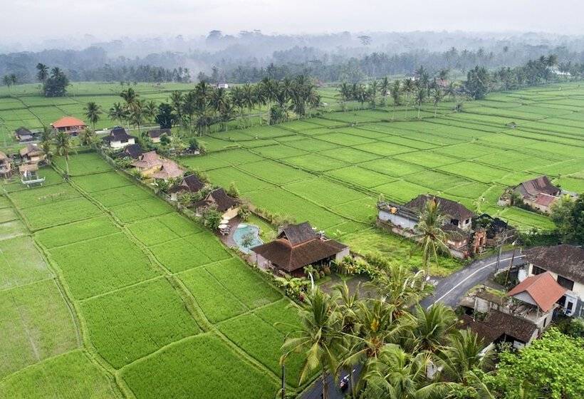 여관 Kabinawa Ubud Villas By Pramana Villas