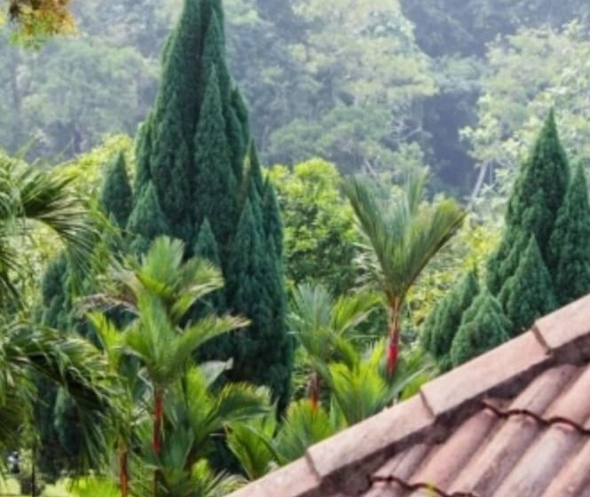 فندق Carpe Diem Orchard Home