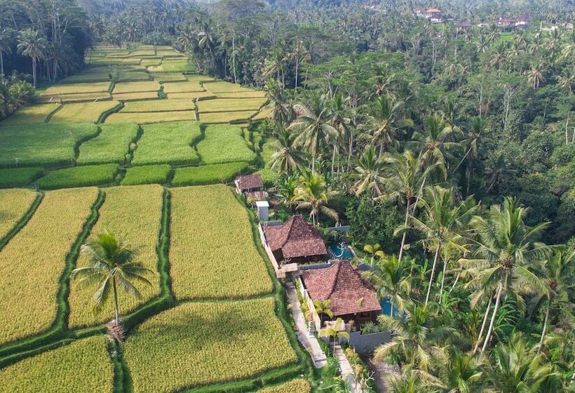Bed and Breakfast Mandana Ubud Villa
