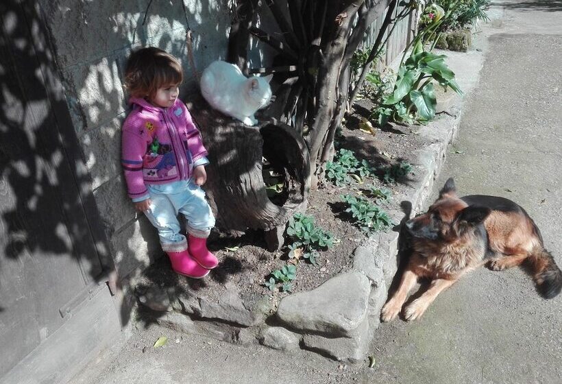 فندق فئة نجمة واحدة Agroturismo La Casona De Belmonte