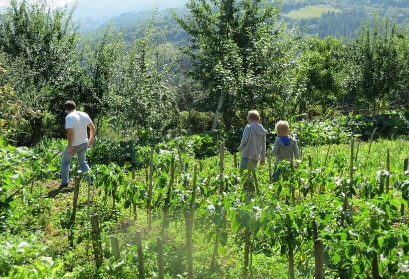 فندق فئة نجمة واحدة Agroturismo La Casona De Belmonte