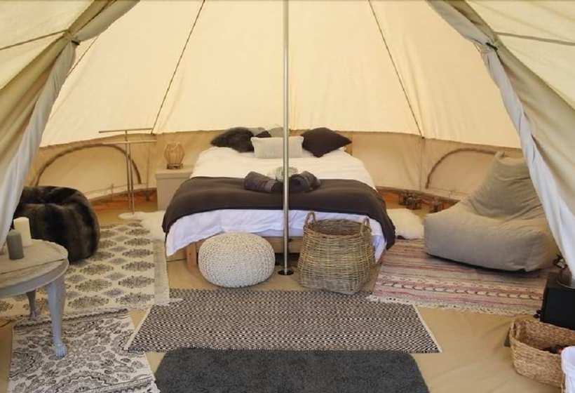 فندق فئة نجمة واحدة Firs Glamping
