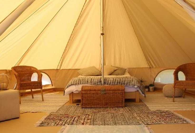 فندق فئة نجمة واحدة Firs Glamping