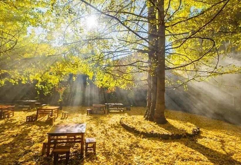 مسافرخانه Tengchong Ginkgo Village Bencai