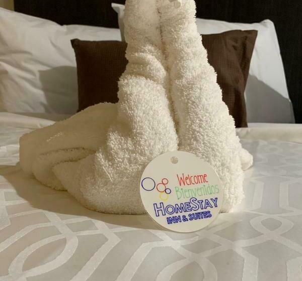 هتل Homestay Inn & Suites Edinburg