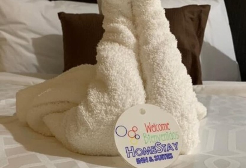 هتل Homestay Inn & Suites Edinburg