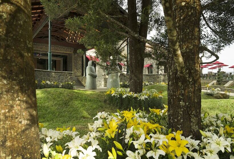 استراحتگاه The Tamara Kodai