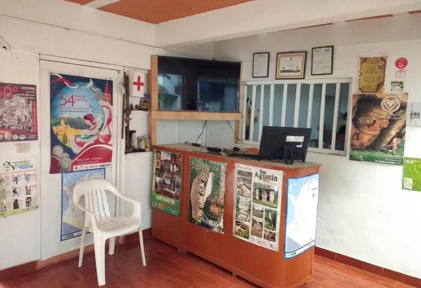 هاستل El Turista