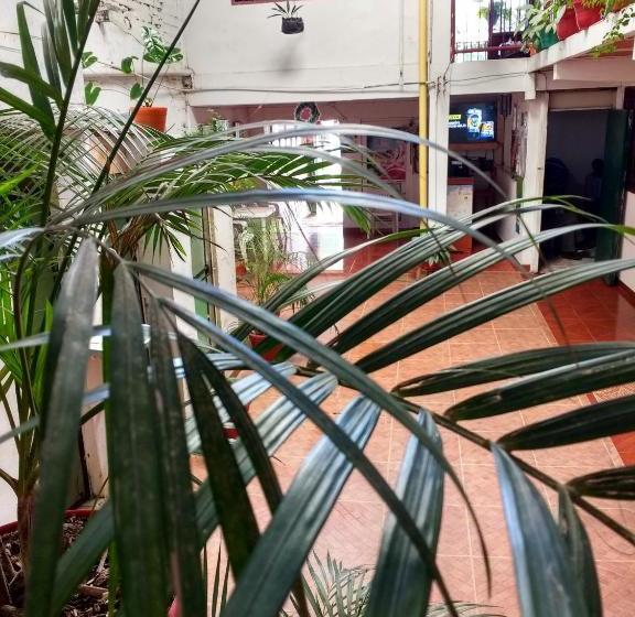 هاستل El Turista