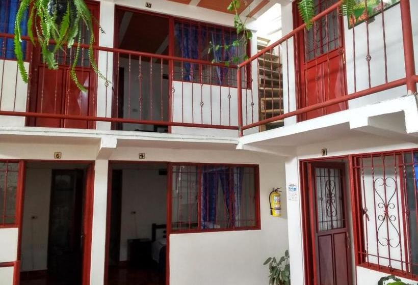 هاستل El Turista