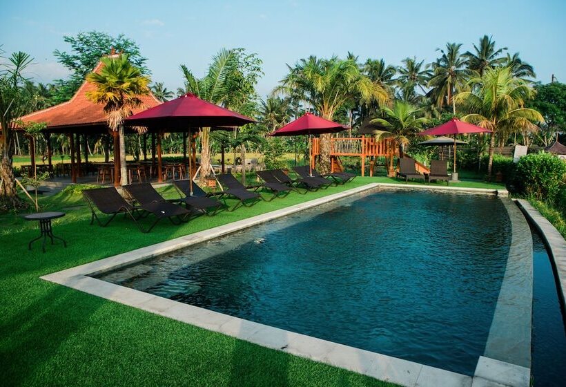 민박 Adil Villa And Resort