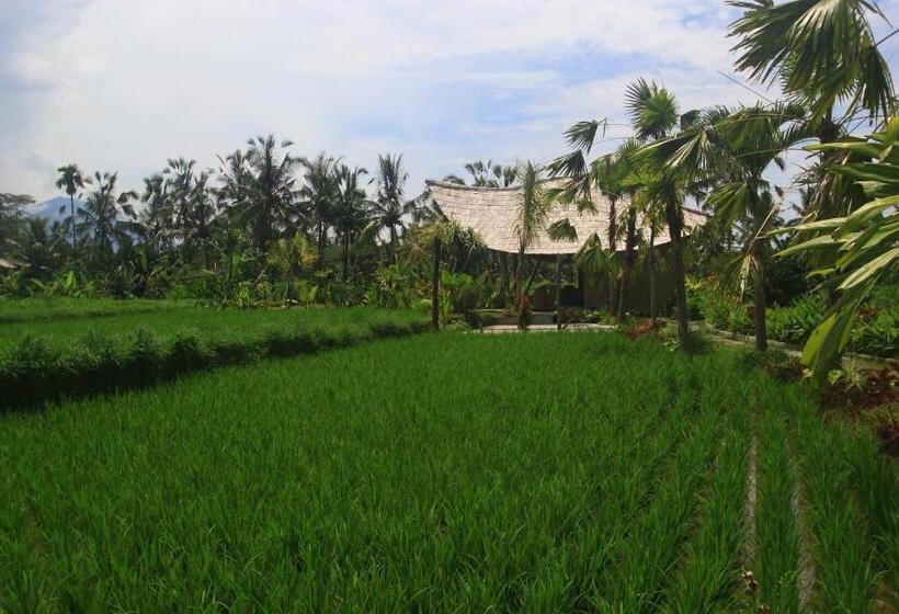 민박 Padi Bali Retreat