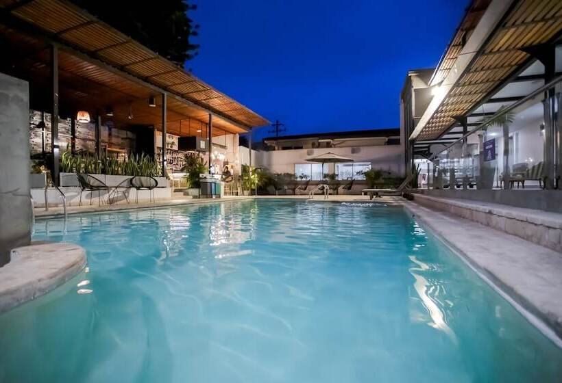 Medellin Vibes Hostel