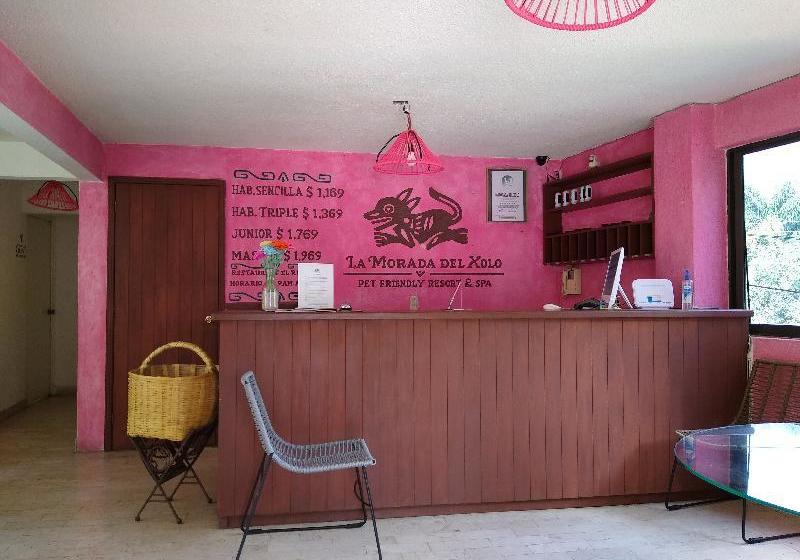 Fotos del hotel La Morada Del Xolo By Oyo Rooms:  7