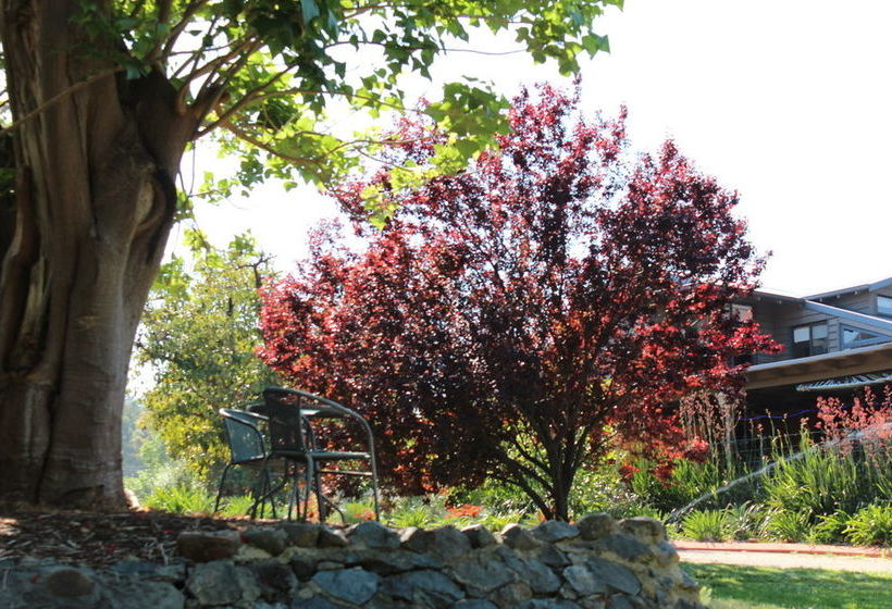 Fotos del hotel Avocados Accommodation:  14