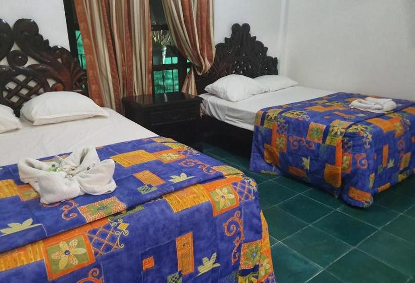 Fotos del hotel Colonial San Carlos:  6