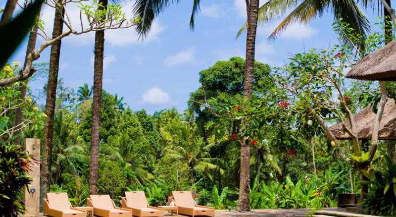 Fotos del hotel Indigo Tree Villas Spa:  3