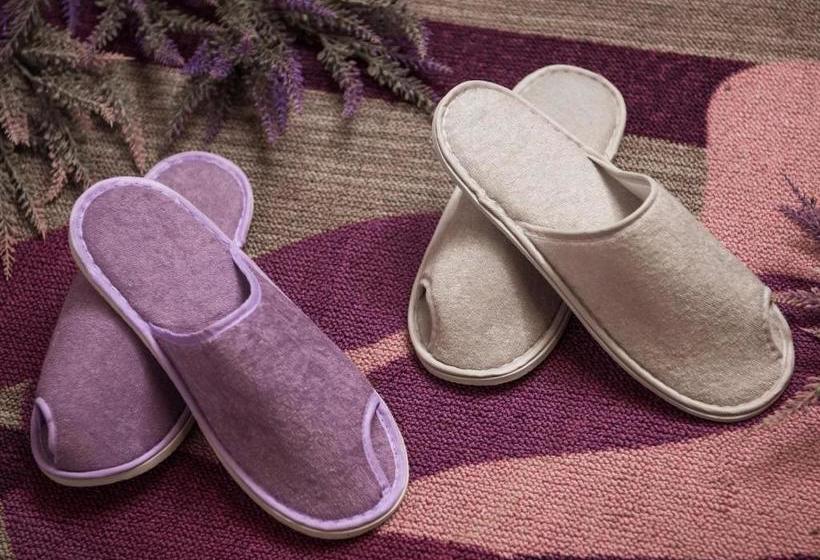 Fotos del hotel Lavande:  21