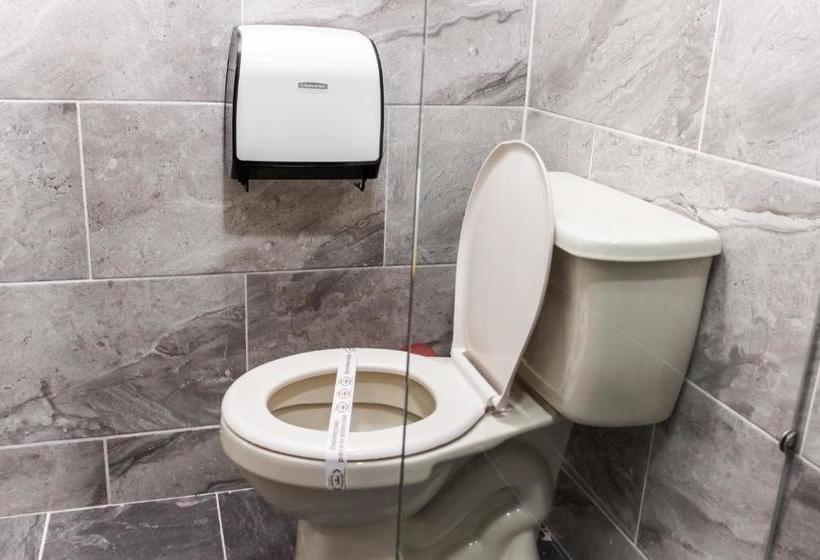 Fotos del hotel Plaza Imperial:  17