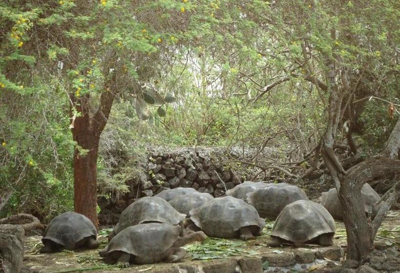 Hostal Las Gardenias