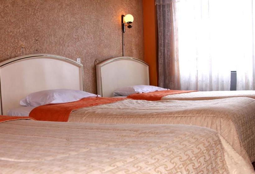 Fotos del hotel Diplomat S:  13