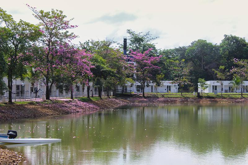 Fotos del hotel On Vacation Hacienda Llanera:  12