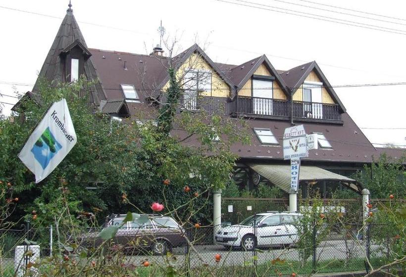 Fotos del hotel Sashalom:  7