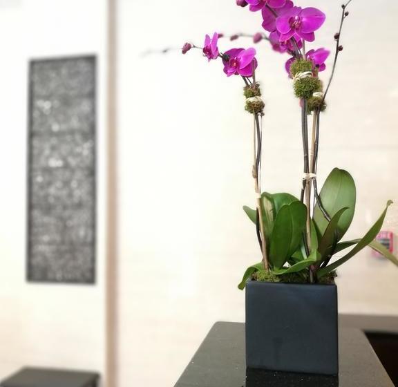 Fotos del hotel Wyndham Garden Fresh Meadows Flushing:  10