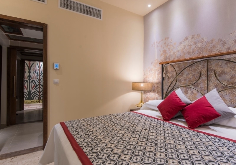 Fotos del hotel Palacio Cueto:  5