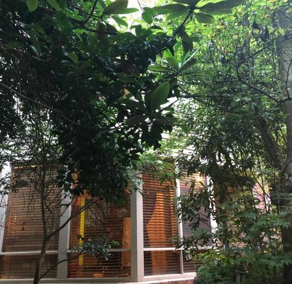 Fotos del hotel Linden Gardens Rainforest Retreat:  4