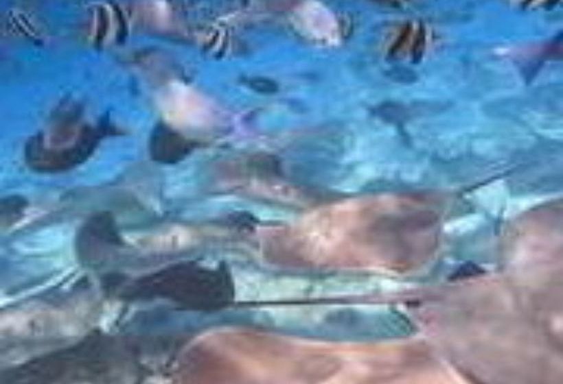 Fotos del hotel Sand Gate Inn:  4