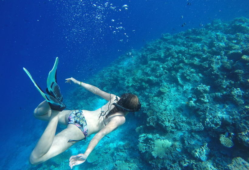 Fotos del hotel Relax Beach Inn:  14