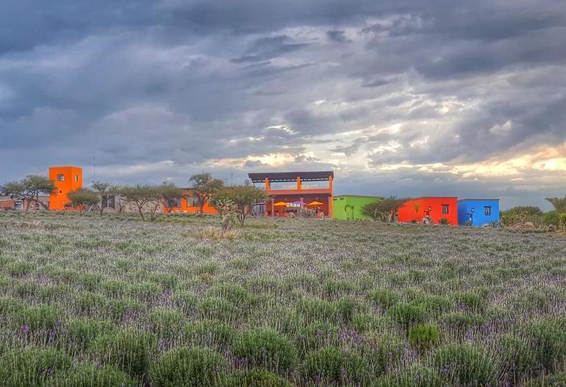 Fotos del hotel El Macehual:  5