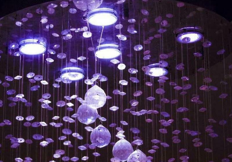 Fotos del hotel The Vic Hotel Kisumu:  14