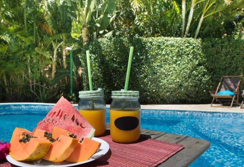 Fotos del hotel Pousada Telhado Verde By Htl:  3