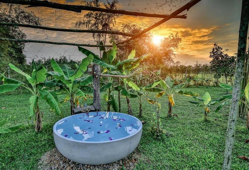 Fotos del hotel Allamanda Estate:  18