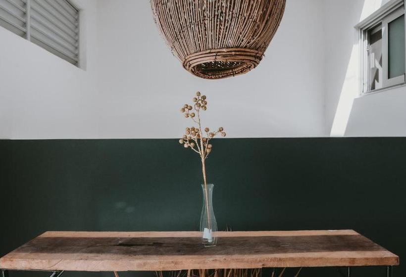 Fotos del hotel Kalma Casa Mora:  3