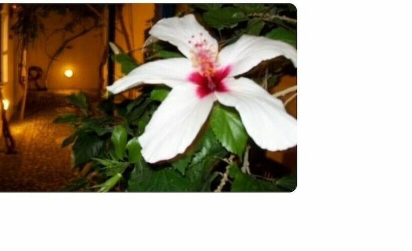 Fotos del hotel Villa Spyros:  11