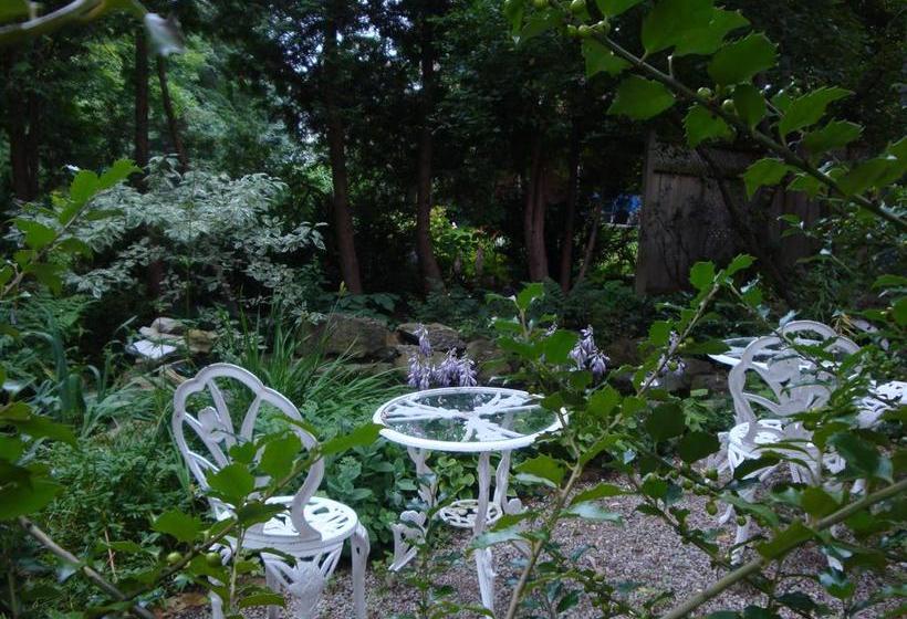 Fotos del hotel Down Home B&b:  9