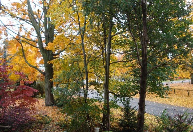 Fotos del hotel Down Home B&b:  21