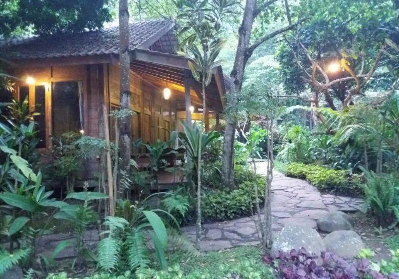 Fotos del hotel Imah Seniman:  7