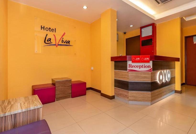 Fotos del hotel La Viva:  3