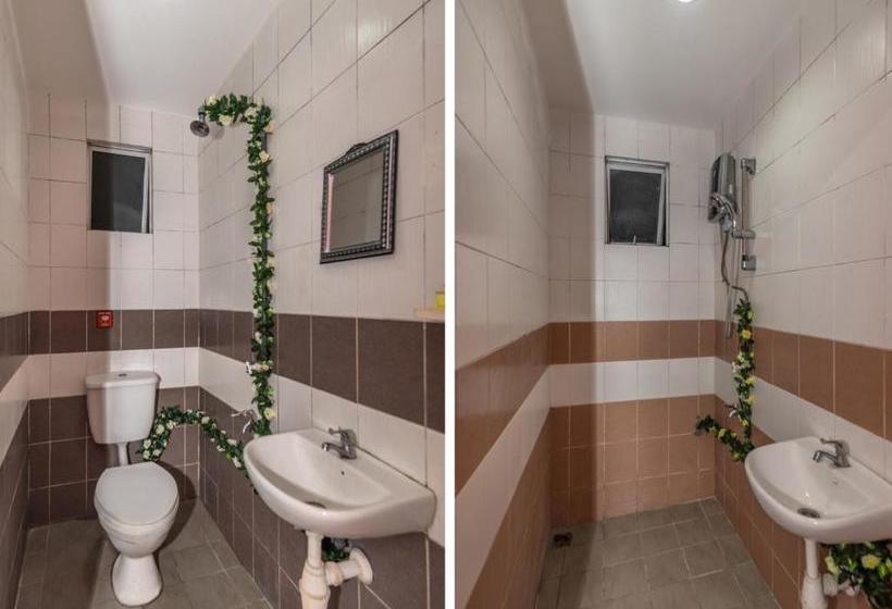 Fotos del hotel La Viva:  4