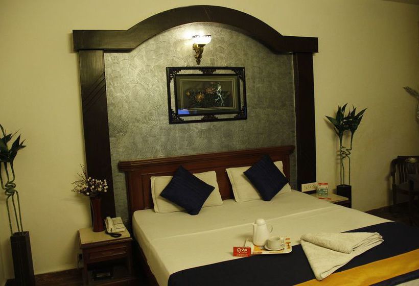 Fotos del hotel Oyo Rooms Gaffar Market 1:  13