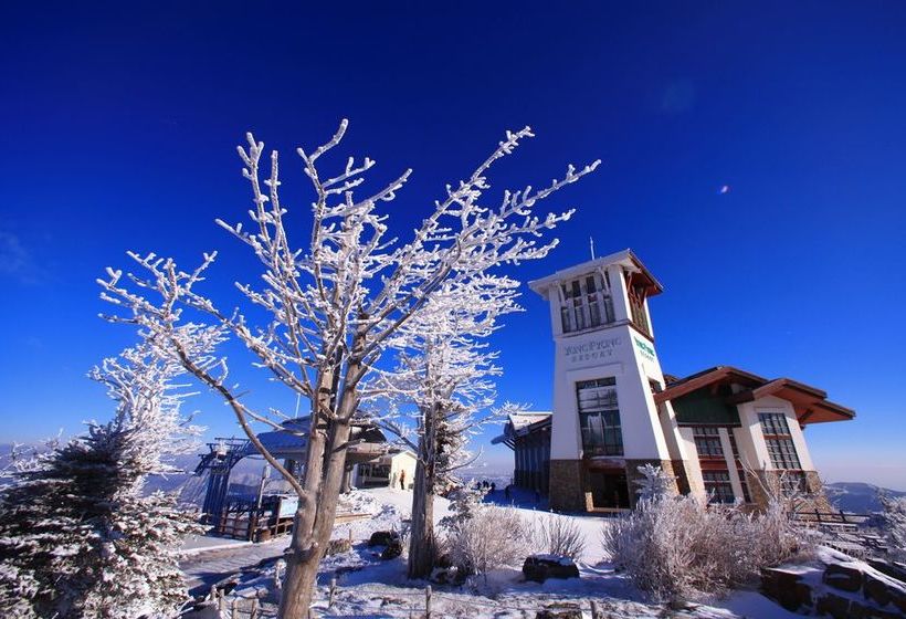 Fotos del hotel Yongpyong Resort Tower Condominium:  22