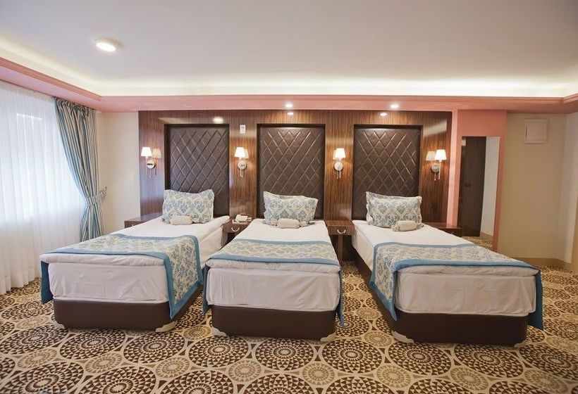 Fotos del hotel Celikhan:  16