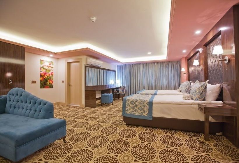 Fotos del hotel Celikhan:  9