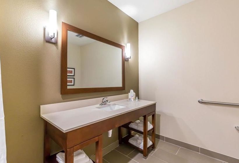 Fotos del hotel Comfort Suites Houston I45 North:  8