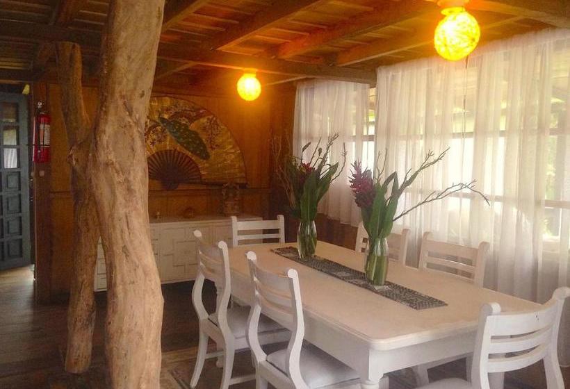 Fotos del hotel Casa De Piedra:  12