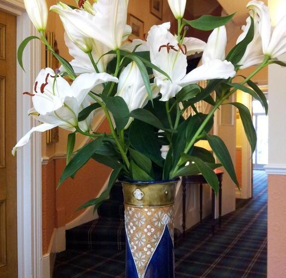 Fotos del hotel Brook:  13